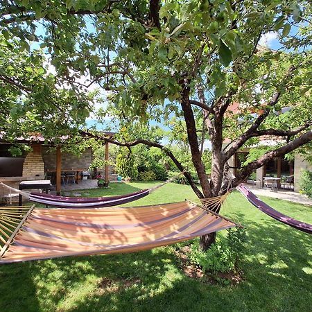 Guest House Vessyta Sapareva Banya Dış mekan fotoğraf