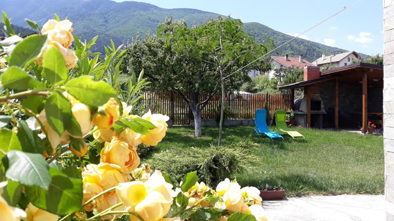 Guest House Vessyta Sapareva Banya Dış mekan fotoğraf